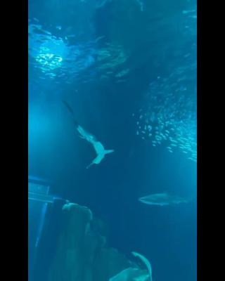 nmixx_20230626_1_10.mp4